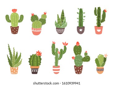 Set of cactus and succulent plant in pretty pot. Vector illustration can be used for greeting cards, stickers, textile print etc. 