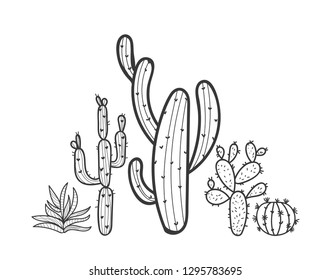 Set of Cactus and Succulent Plants collection with many details. White background. Vector illusyration.