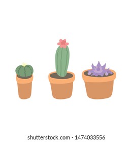 Set of cactus and succulent plants vector illustration isolated on white background