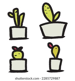 set of cactus succulent in pot