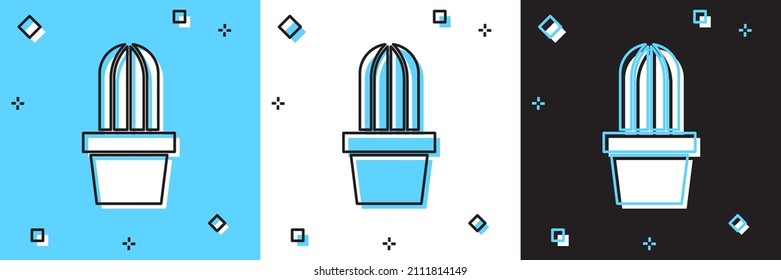 Set Cactus and succulent in pot icon isolated on blue and white, black background. Plant growing in a pot. Potted plant sign.  Vector