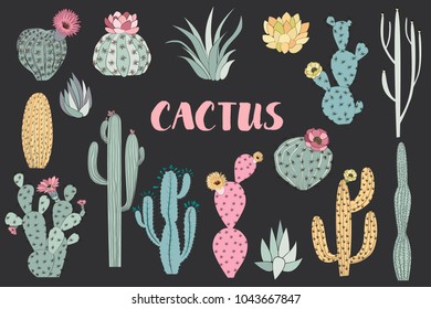 Set of cactus and succulent in sketch style. Editable vector illustration