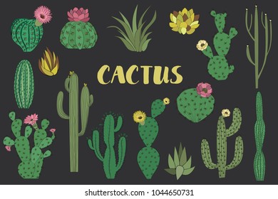 Set cactus and succulent in sketch style. Editable vector illustration