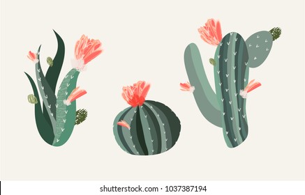 Set of cactus and succulents. 