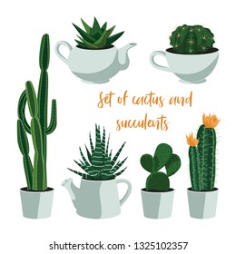 Set of cactus and succulents