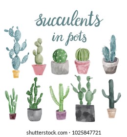 Set of cactus and succulents isolated on white background. Hand drawn vector illustration in trendy watercolor style. 