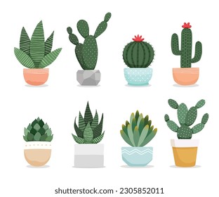 Set of cactus succulents plants in pots. Cacti houseplants indoor plants vector illustration.