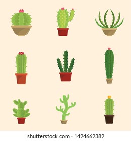 Set of cactus succulents in pots icons collection vector illustration graphic design