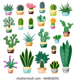 Set of cactus and succulents in pots. Indoor plants in a flat style. Vector illustration.