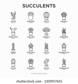 Set of cactus and succulents in pots. Thin line icons. Modern vector illustration of plants for house decoration.