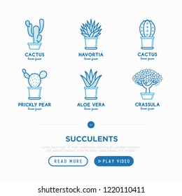 Set of cactus and succulents in pots. Thin line icons. Modern vector illustration of plants for house decoration.