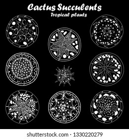 Set of cactus and succulents tropical plants in pot plant on black background, top view vintage vector. hand drawing.