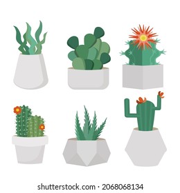 Set of Cactus used decorations on your in the room or working place. vector design on white background.