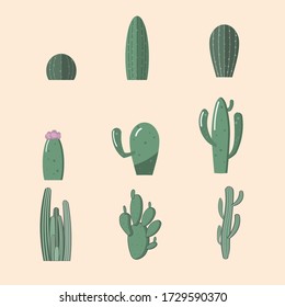 Set of cactus vector. Cactus clip art. Green botanical graphic clipart. Vector illustration