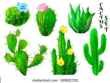 Set of cactus. Vector colorful illustration.