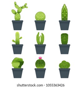 Set of Cactus Vector and Icon