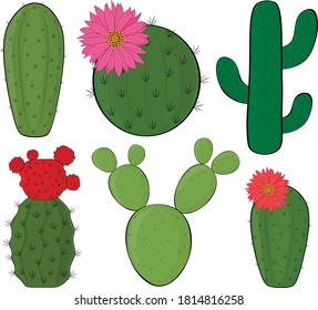 Set of cactus vector illustration