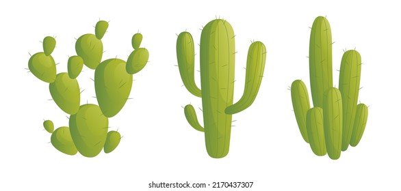 Conjunto de ilustración vectorial de cactus. ilustración vectorial cactus en estilo plano. Cactus brillante conjunto vector. Ilustración de diseño vectorial de conjuntos de cactus.