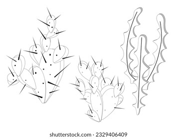 
Set of cactus vector illustration. cactus vector illustration in flat style. Bright cactus set vector. Cactus set vector design illustration.
