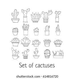 Set of cactus. Vector isolated object.