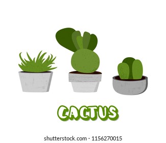Set of cactuses with cement pots. Collection of succulents  with handwritten lettering isolated on white background. Vector illustration.