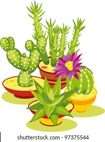 Set of Cactuses. Composition of cactuses in flowerpot