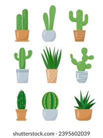 Set of Cactuses in flower pots. Exotic tropical decorative house plants. Flat or cartoon vector illustration for home decor and botanical design. Icons isolated on white background.