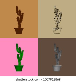 Set of cactuses, hand drawn vector illustration, Home plants cactus in pots, cactus closeup on background.