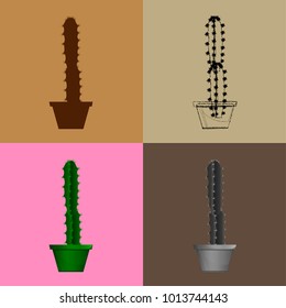 Set of cactuses, hand drawn vector illustration, Home plants cactus in pots, cactus closeup on background.
