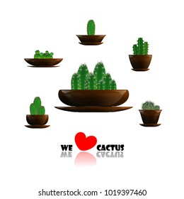 Set of cactuses, hand drawn vector illustration, Home plants cactus in pots, cactus closeup on white background.