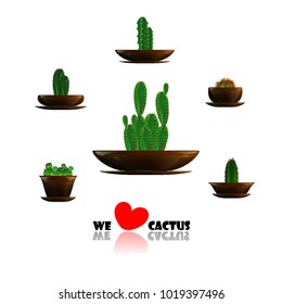 Set of cactuses, hand drawn vector illustration, Home plants cactus in pots, cactus closeup on white background.