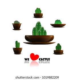 Set of cactuses, hand drawn vector illustration, Home plants cactus in pots, cactus closeup on background.