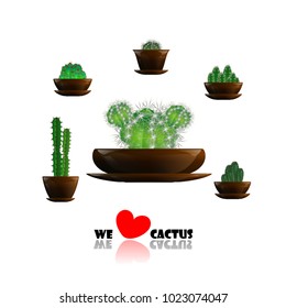 Set of cactuses, hand drawn vector illustration, Home plants cactus in pots, cactus closeup on background.