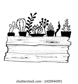 Set of cactuses, hand drawn vector illustration