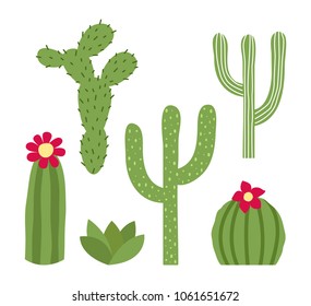 Set of cactuses. Isolated on white background. Vector illustration.