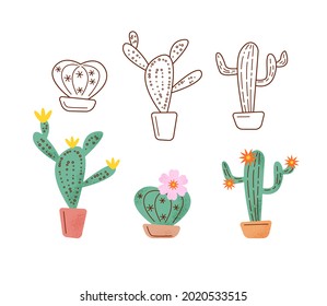 Set of cactuses in outline and flat style with texture. Vector isolated color illustration on white background.