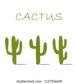  set of cactuses and succulent plants isolated on white background. Flower illustration for your projects vector
