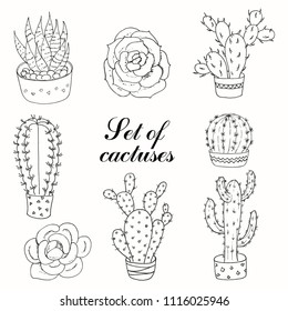 Set of cactuses and succulents