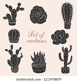 Set of cactuses and succulents. Vector illustration for your design