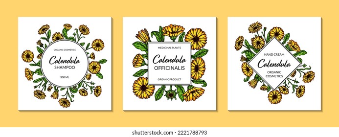 Conjunto de marcos de caléndula con elementos dibujados a mano. Ilustración vectorial en estilo de esbozo. Diseño de empaque de cosecha