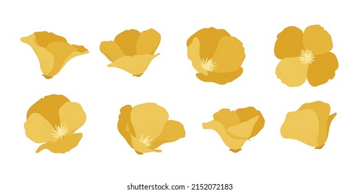 Set of california poppy blooming flowers illustration.