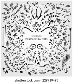 SET OF CALLIGRAPHIC DESIGN ELEMENTS. Frames, labels, ribbons, symbols. Brand & identity elements such as logo.