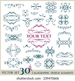 Set of Calligraphic design elements. Vector illustration.