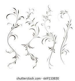 Set of calligraphic element, curls, vector