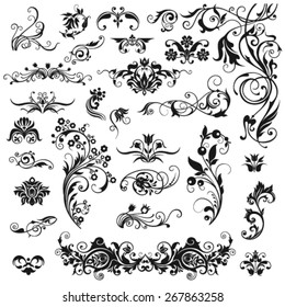 Set of calligraphic elements for design