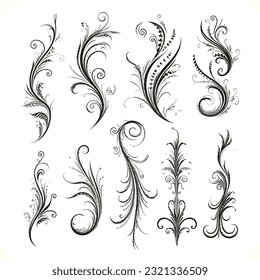 Set of Calligraphic Filigree Design Elements and Page Decorations