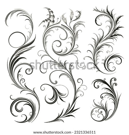 Set of Calligraphic Filigree Design Elements and Page Decorations