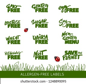 Set of Calligraphic Labels for the Organic and Allergen Free Food