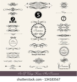 Set Of Calligraphic Labels And Text Dividers In Vintage Style