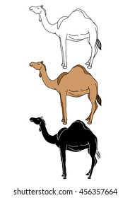 set of camel animal hand drawn vector illustration design